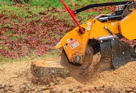 Best Tree and Shrub Care  in Bell Acres, PA